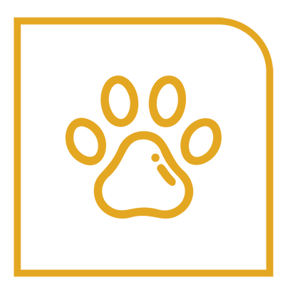 ideal para seu pet